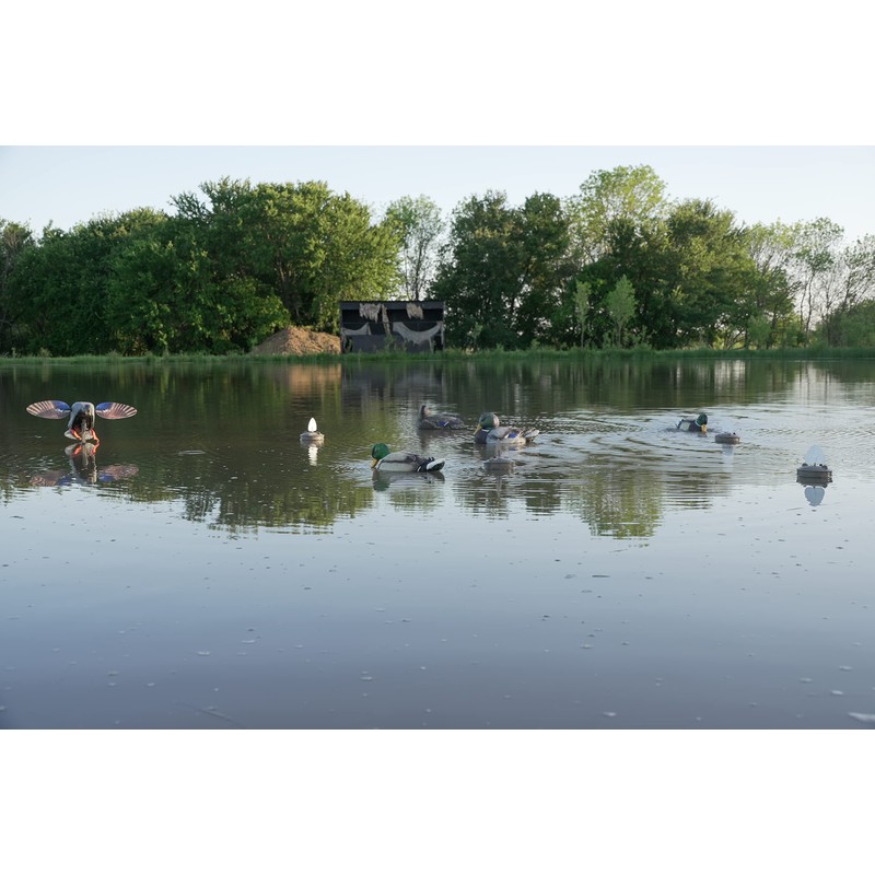 MOJO Outdoors Flock A Flicker 2 - Premium Waterfowl and