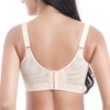 Women's Padded Push-Up Bra - Embroidered Lace With Underwire and