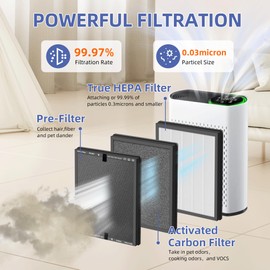 3PACK HAP602 Replacement Filter for ECOSELF HAP602/HAP602WF Air Purifier,3 in 1 High-Efficient H13 True HEPA with Acticated Carbon Filtration for Home