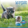 Super Cria Sustituto de Leche Vitaminado para Gatos Kitten