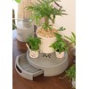 Appleware Tray Plate, Indoor Use, Drainage Pot Holder, Type 30,