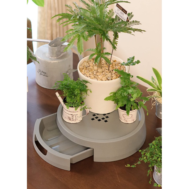 Appleware Tray Plate, Indoor Use, Drainage Pot Holder, Type 30,