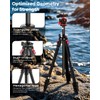 CAMBOFOTO 68" Lightweight Travel Camera Tripod with Ball Head, Compact