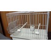 I064B All White Song Bird CAGE