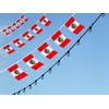 FFILL Peruvian Banner Flag String,Peru Mini Flag Small Banner, for