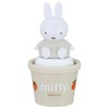 Skater TWSL1D-A Miffy Salt Case with Mascot Salt and Pepper