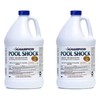 CPDI CPDI Champion 2 Pack Pool Shock 12.5 Liquid Chlorine,