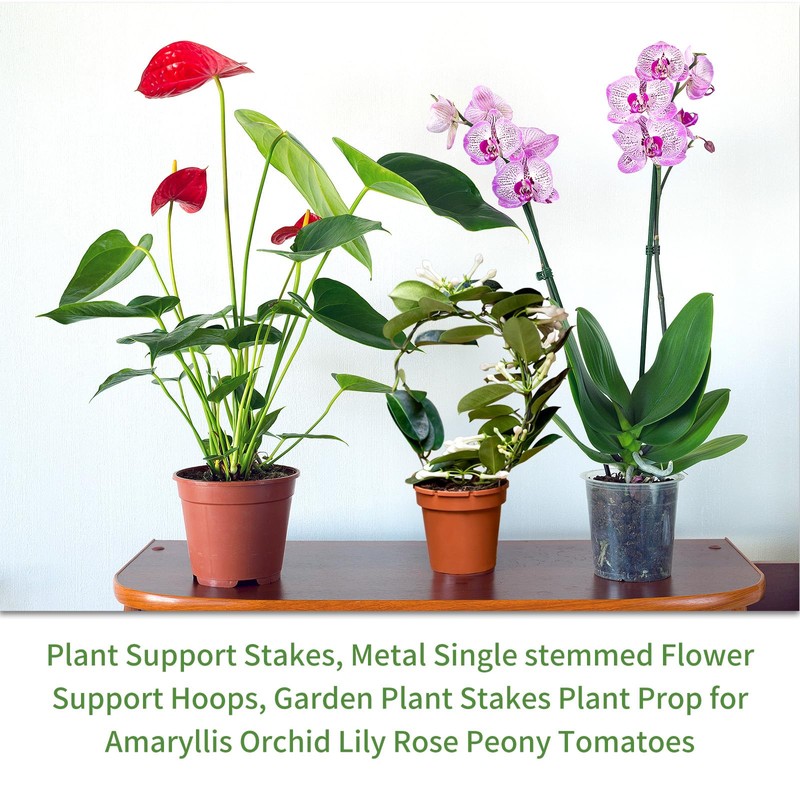 10Pcs Plant Support Stakes with 15 Pcs Plant Clips, Plant