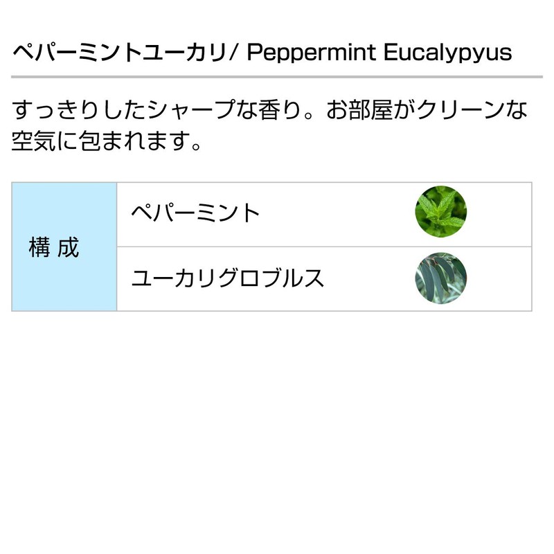 Peppermint Eucalyptus 100ml Aroma Blend Incent Essential Oil 100ml