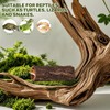 DECHOUS Natural Cork Bark for Reptile Hideout Round Cork Bark