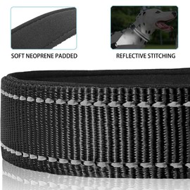 JSXD AirTag Dog Collar, Night Reflective Nylon Dog Collar for Small Medium Large Dogs,Lockable Quick Release Buckle,Padded Breathable Pet Collar with AirTag Holder (Black, Small)