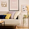 Blumtal Set of 2 Soft Velvet Cushion Covers, 50 x