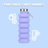 Vnek Collapsible Water Bottles (Pink)