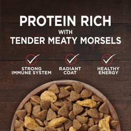 Purina ONE Grain Free Natural Dry Dog Food, SmartBlend True Instinct With Real Beef - 12.5 lb. Bag