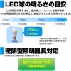 ELPA LDA2D-G-E17-G4101 LED Bulb Mini Krypton Shape E17 Indoor Use