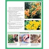 Home Gardener's Perennials & Bulbs: The Complete Guide to Growing