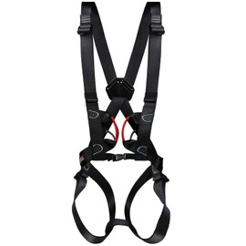 ALPIDEX Climbing Harness for Teenagers and Adults EN 12277 Fully Adjustable