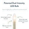 Celestial Lights Set of Four Battery Operated Remote Programmable Window