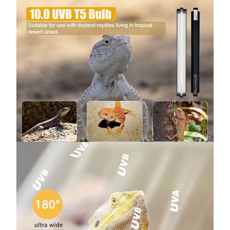 MouMouPurr 24W T5 UVB Reptile Light Fixture Combo Kit –