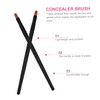 VICASKY 10pcs Eye Makeup Brush Black Eyeshadow Applicators for Women