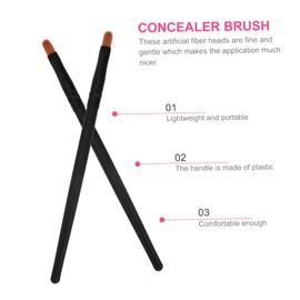 VICASKY 10pcs Eye Makeup Brush Black Eyeshadow Applicators for Women for Daily and Easy to Carry Makeup Tools
