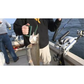 Dreamweaver Fish Handler Holding Tool - 99932 - Blue Color Holder