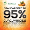 Turmeric Curcumin Supplement 2600mg - 95% Curcuminoids with Organic Turmeric
