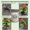 Enhanced Soil and Plant Health for 7 Years: Potassium Polymer