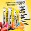 Forzagen Hydragen+ | Electrolitos + Aminos | 15 Sticks