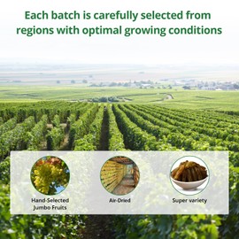 NatureBliss Jade Green Jumbo Raisins, 6 ounce, Gluten-Free, Kosher, Non-GMO, Vegan, Dried Fruits, Naturally Sweet, No Added Sugar, Seedless,Fruity Topping & Inclusion, Ideal for Baking