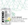 XTEND Original BCAA Powder Lemon Lime Squeeze 30 Servings |
