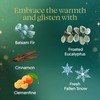 Glade PlugIns Refills Air Freshener, Balsam & Spruce and Bergamot