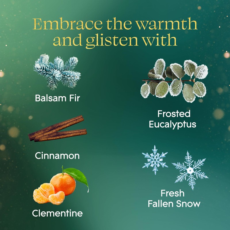 Glade PlugIns Refills Air Freshener, Balsam & Spruce and Bergamot