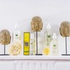 Provence Sante Eau de Toilette Spray - Luxury Long-Lasting Fragrance