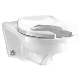 American Standard 5901100.020 Commercial Elongated Open Front Toilet Seat with Stainless Steel Hinge, 1.00 in Wide x 14.38 in Tall x 18.56 in Deep, White