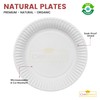 CHEF ROYALE 6-inch, (Pack of 50) Disposable Paper Plates for