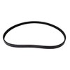 Continental - Goodyear- Poly-V Stretch Belt (4040351S)