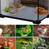 KABASI Reptile Substrate Liner Terrarium Carpet, Bearded Dragon Tank Accessories,