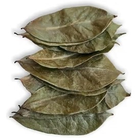 Organic Soursop Leaves | 100% Natural Dried Graviola Whole Leaves | Guanabana Hojas Loose Leaf | Caffeine Free Herbal Detox Tea | 20g