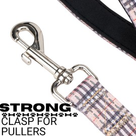 EcoBark Dog Leash - Soft & Reflective Comfort Leash with Padded Handle - Strong Durable Heavy Duty - Training and Pulling for Small, Medium or Large Dogs (Tan Plaid)