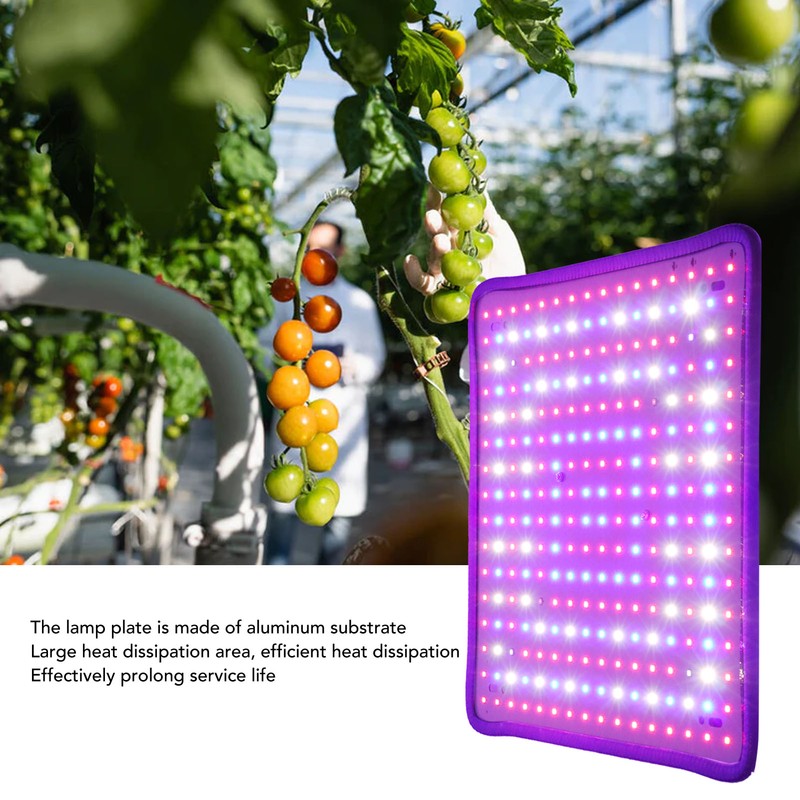 Plant Growing Lamp Scientific Control Low Heat LED Grow Light