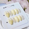 Spring Ballerina Nail Tips - Petite Coffin / 봄빛 발레리나