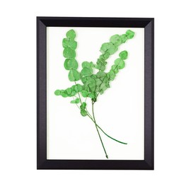 Rahmendesign24 Rio Double Glass Frame 13 x 18 cm Matte Black Photo Frame Removable Frame Double Glass