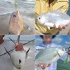 Pompano-Rigs-for-Surf-Fishing-Saltwater-Gear with Double Circle & Wide Gap Hook-6-Pack Surf Fishing