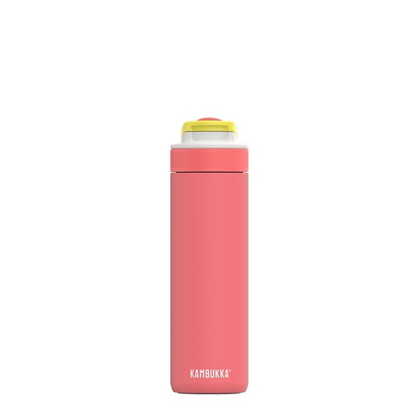 Kambukka Lagoon 600ml / 20oz Insulated Water Bottle with Straw