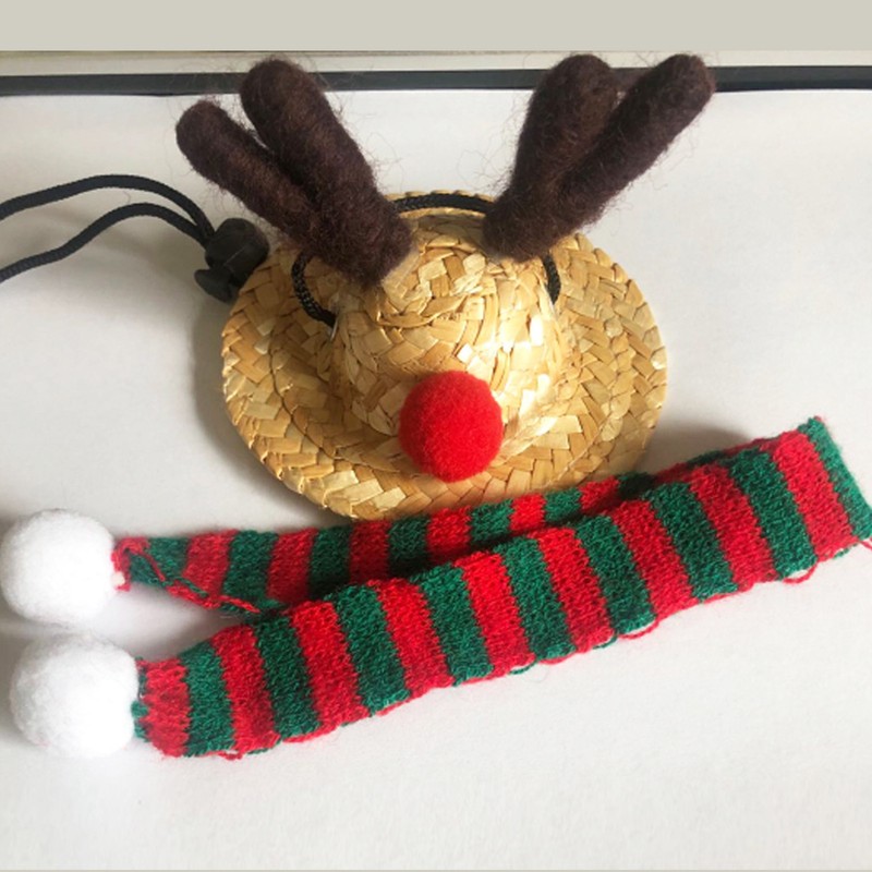 Bearded Dragon Santa Hat Cute Soft Scarf Adjustable Size Bright