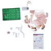 3D Paper Folding Dinosaur Toy Jigsaw Puzzle Science Experiment Toy