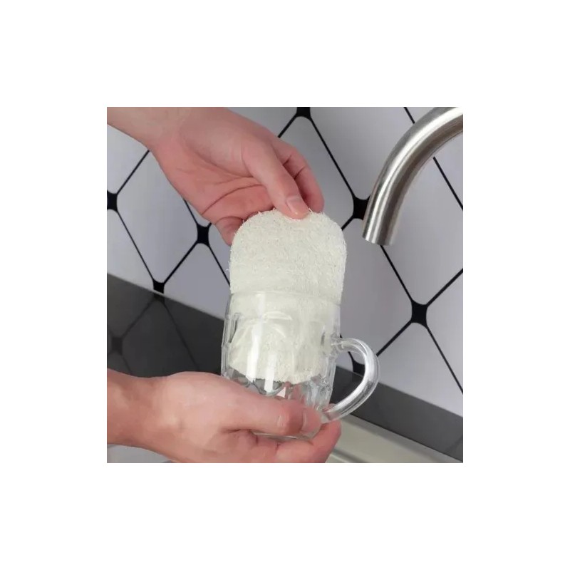 Set Cepillo Corporal Facial Y Esponja Pulpa De Madera Exfo