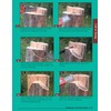 Chainsaw Carving a Bear: A Complete Step-By-Step Guide