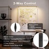 Coinmit 24" Plug in Picture Light 9W Gold Art Light